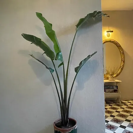 Kallista Hotel